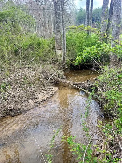 lot1 S Blue Horizon Dr, Blue Ridge, GA 30513