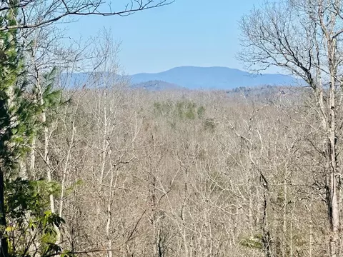 lot5 Blue Horizon Dr, Blue Ridge, GA 30513