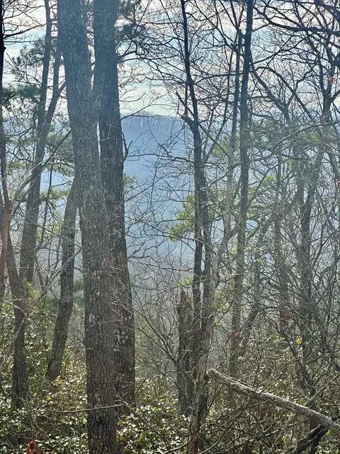 lot8 Sapphire Rdg, Blue Ridge, GA 30513
