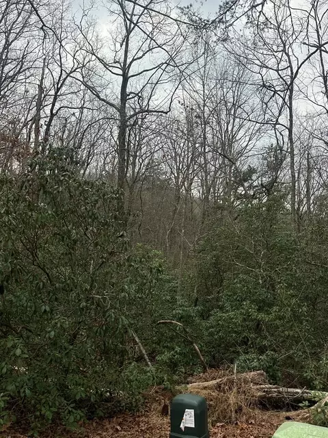 lot13 Sapphire Rdg, Blue Ridge, GA 30513