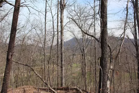 lot83 A Licklog Rdg, Hayesville, NC 28904