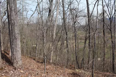 lot86 A Licklog Rdg, Hayesville, NC 28904