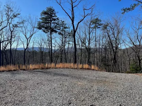 673 Willard Mountain Rd, Blue Ridge, GA 30513