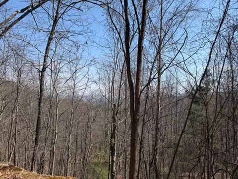lot16 Laurel Mtn, Brasstown, NC 28902