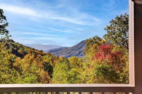 7031 Black Bear Trl, Hiawassee, GA 30546
