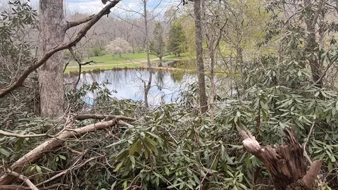 9 Mill Creek Drive, Hayesville, NC 28904