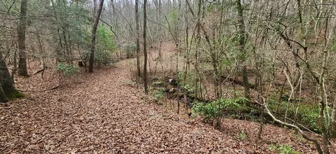lot18 Gray Fox Trl, Blairsville, GA 30512