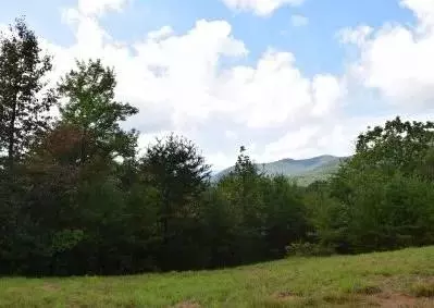 114 Blackhawk Ln, Turtletown, TN 37391