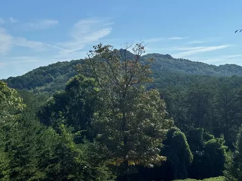 130 Golden Eagle Cir, Turtletown, TN 37391