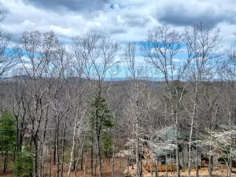 lot25 Cross Crk, Mineral Bluff, GA 30559