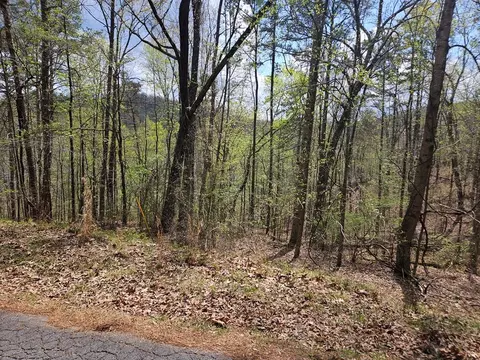 135 Adair Dr, Ranger, GA 30734