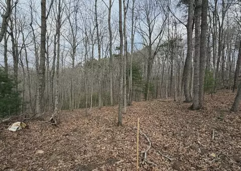 Tract B2 Mountain Ridge, Blue Ridge, GA 30513