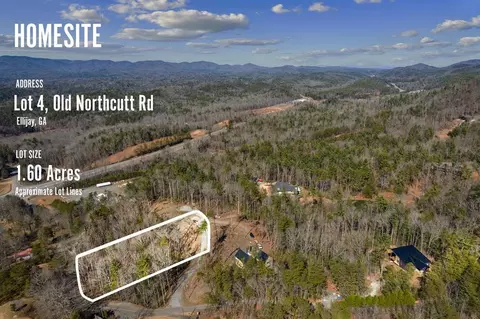Tract 4 Old Northcutt Road, Ellijay, GA 30540