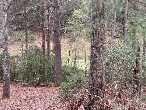 lot43 Seneca Dr, Ellijay, GA 30540