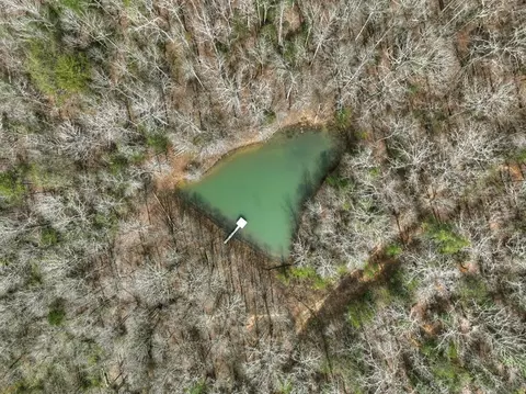 8 52 Ac Mcnelley Rd, Morganton, GA 30560