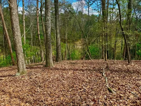 739 Hiawassee Ct, Ellijay, GA 30540