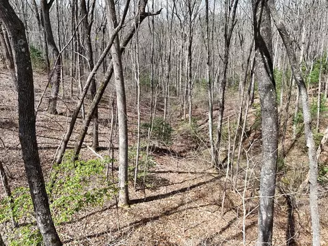 124 Laurel Crossing, Blue Ridge, GA 30513