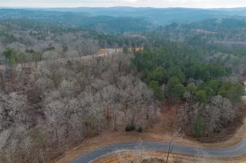 0 Freestone St, Talking Rock, GA 30175 photo 11