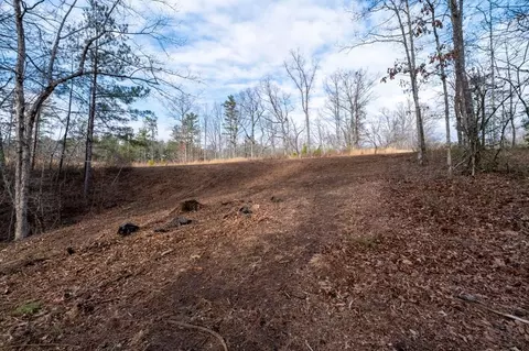 0 Freestone St, Talking Rock, GA 30175 photo 7