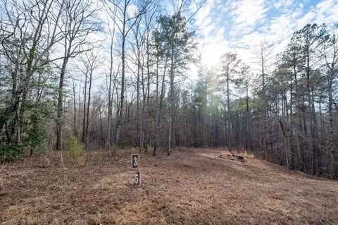 0 Freestone St, Talking Rock, GA 30175 photo 3
