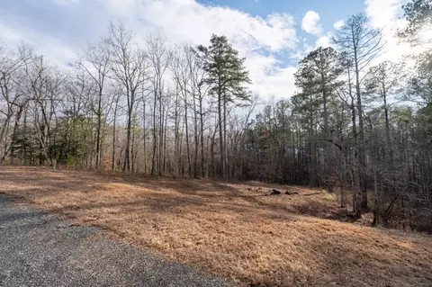 0 Freestone St, Talking Rock, GA 30175 photo 2