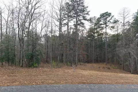 0 Freestone St, Talking Rock, GA 30175 photo 15