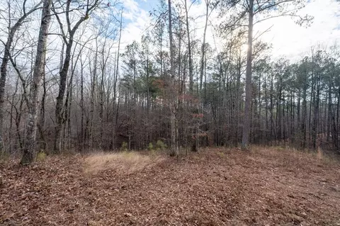 0 Freestone St, Talking Rock, GA 30175 photo 6