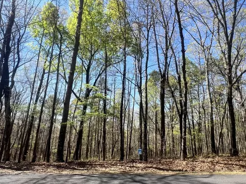 lot93 Doll Mountain Rd, Ellijay, GA 30540