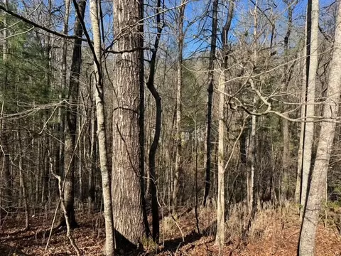 00 Robin Rd, Murphy, NC 28906 photo 5