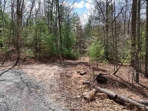 lot117 Laurel Trce, Blue Ridge, GA 30513