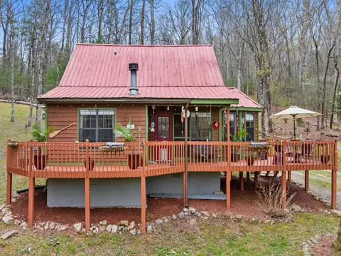 541 Black Ankle Creek Rd, Cherry Log, GA 30522