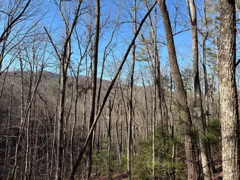 lot61 Laurel Trl, Suches, GA 30572