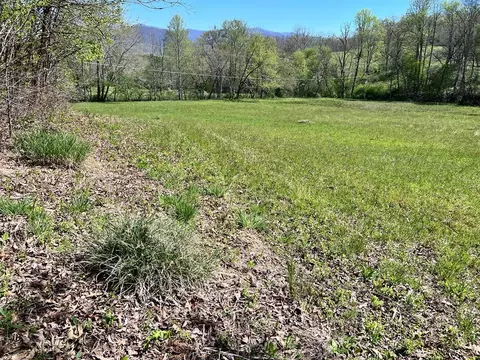 0 Low Gap Rd, Hayesville, NC 28904 photo 9