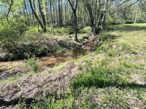 0 Low Gap Rd, Hayesville, NC 28904 photo 4