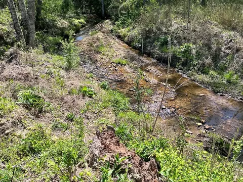 0 Low Gap Rd, Hayesville, NC 28904 photo 3