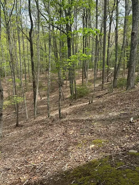 Lt B87 Laurel Lane, Ellijay, GA 30560
