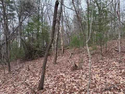 lot9 Marjorie Ave, Ellijay, GA 30536