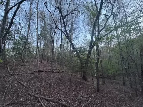 lot5 Riverbend Mnr, Blue Ridge, GA 30513