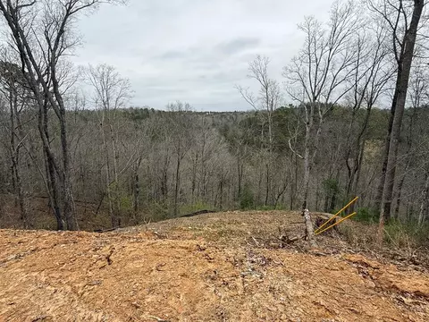 135 Flat Ridge Rd, Ellijay, GA 30540