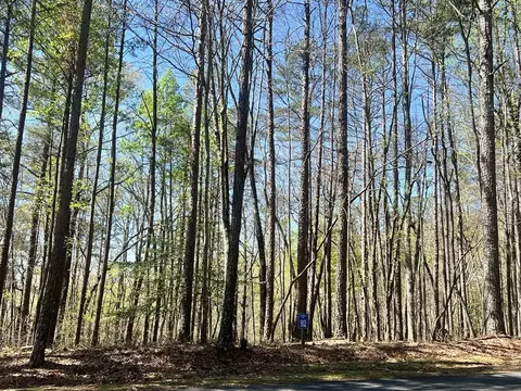 lot92 Doll Mountain Rd, Ellijay, GA 30540