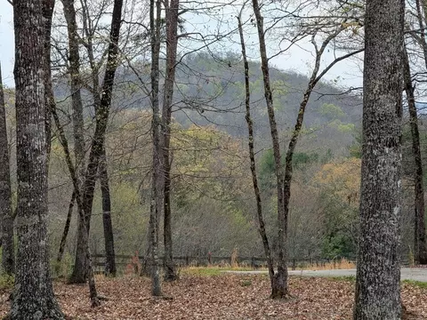12 Daisy Dr, Brasstown, NC 28902