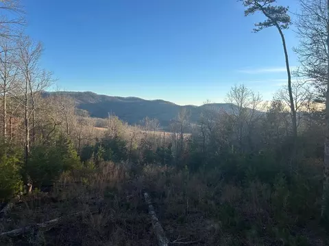 View/Area - 0 Stanleys Rdg, Morganton, GA 30560 photo 4 of 4