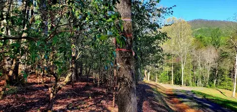 5 River Sound Village, Hayesville, NC 28904