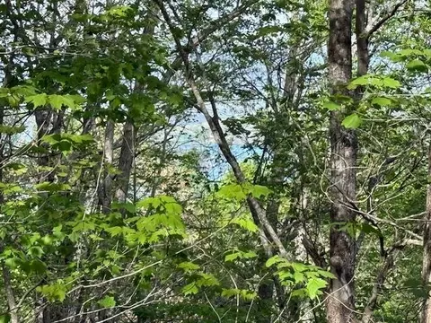 00 Mining Gap Rd, Young Harris, GA 30582