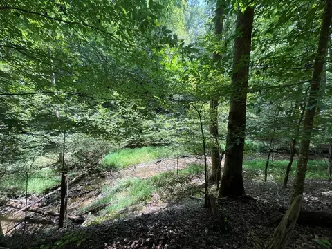 lot223 Bowline Dr, Ellijay, GA 30540