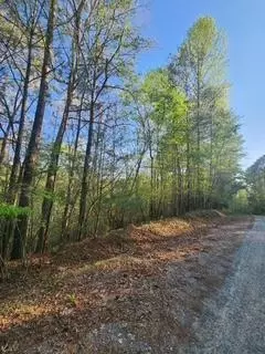 Lt3646-r Fern Drive, Ellijay, GA 30540
