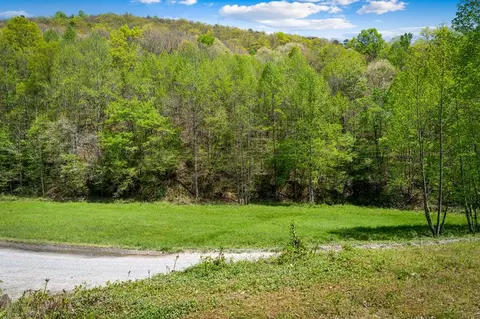 891 Bushy Head Rd, Cherry Log, GA 30522