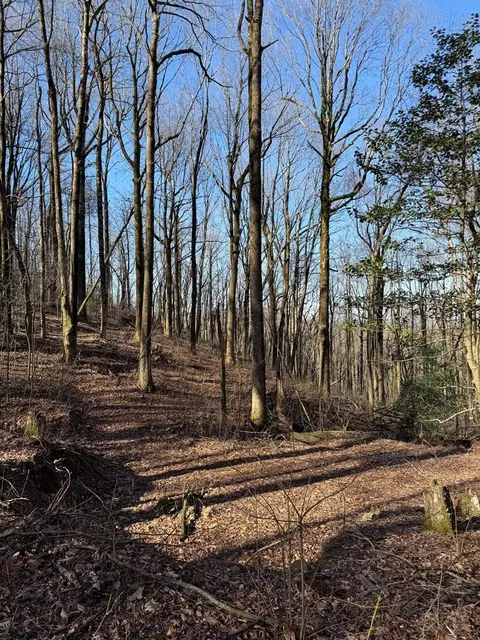 6180 Burnt Mountain Rd, Ellijay, GA 30536