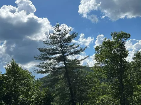 lot68 Bowers Rd, Blairsville, GA 30512