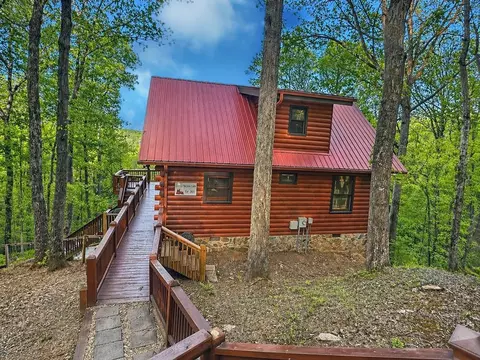 40 Joanna Ct, Cherry Log, GA 30522